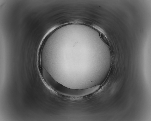 X0000086261135200704191858