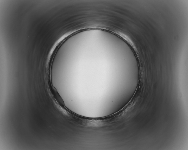 X0000086261136200704191858