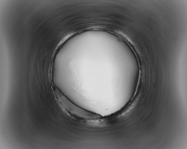 X0000086261137200704191858