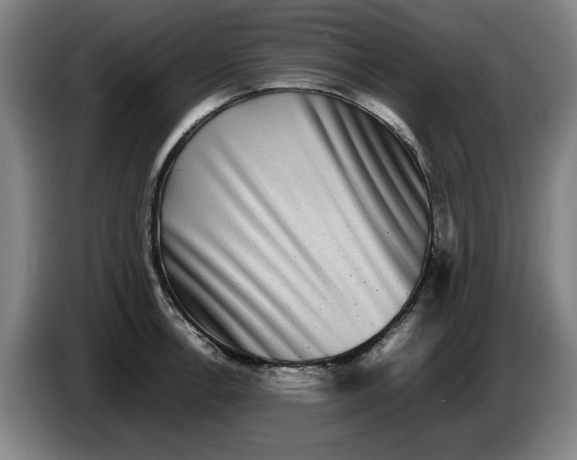 X0000086261138200704191858