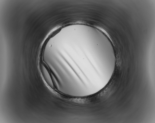 X0000086261139200704191858