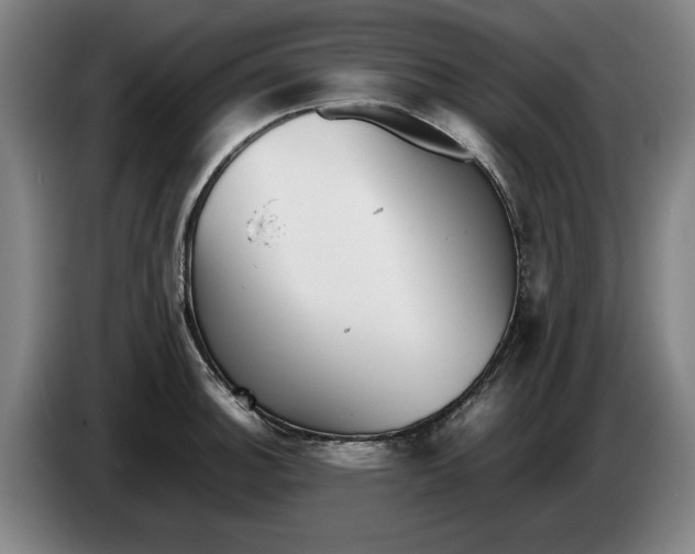 X0000086261140200704191858