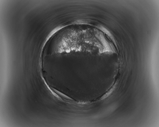 X0000086261141200704191858