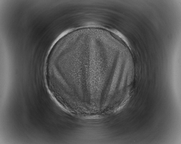 X0000086261142200704191858