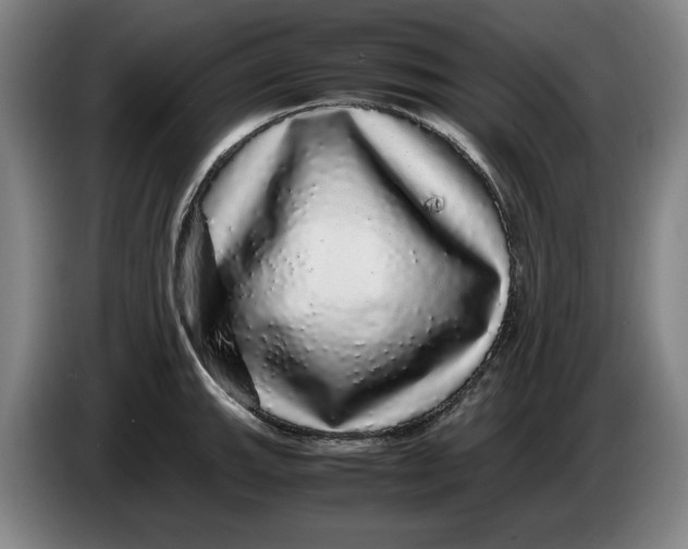 X0000086261143200704191858