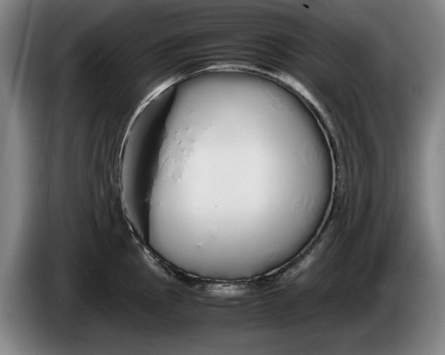 X0000086261145200704191858