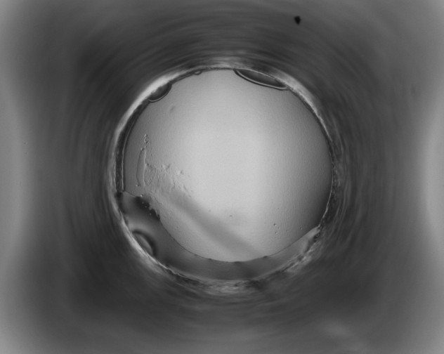 X0000086261147200704191858