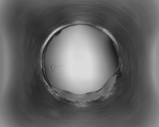 X0000086261148200704191858