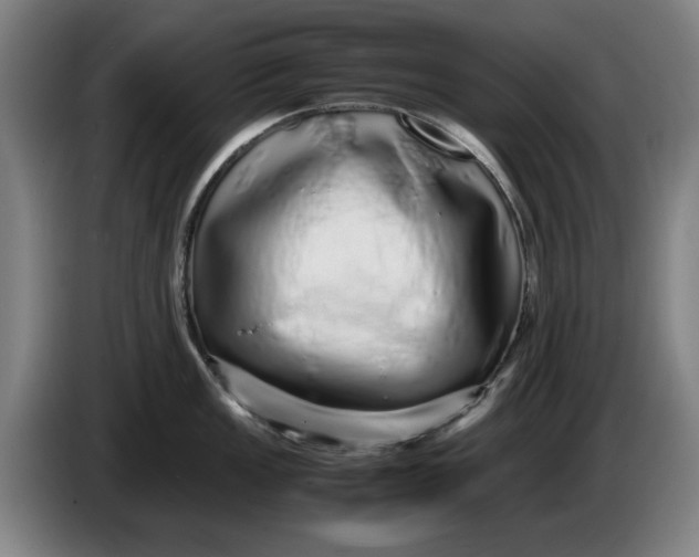 X0000086261149200704191858