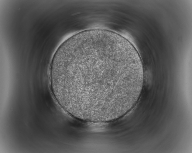 X0000086261150200704191858