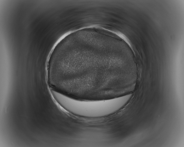 X0000086261151200704191858