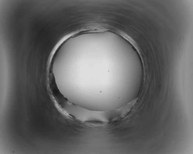 X0000086261152200704191858
