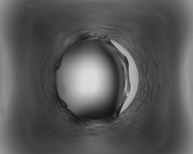 X0000086261153200704191857