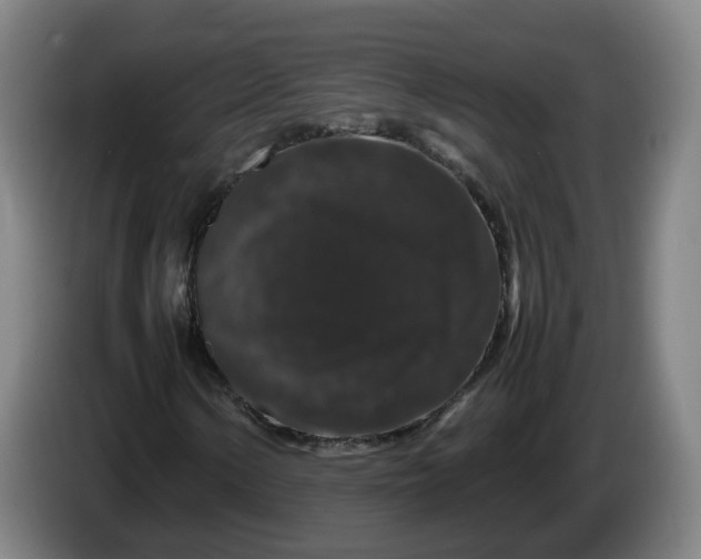 X0000086261154200704191857