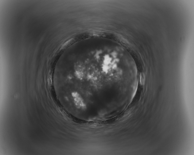X0000086261155200704191857