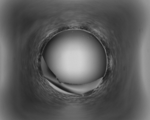 X0000086261157200704191857