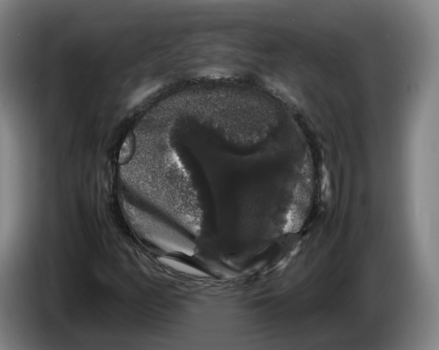 X0000086261158200704191857