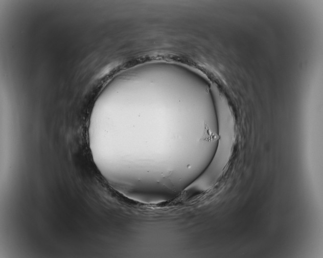 X0000086261159200704191857