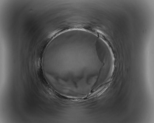 X0000086261161200704191857
