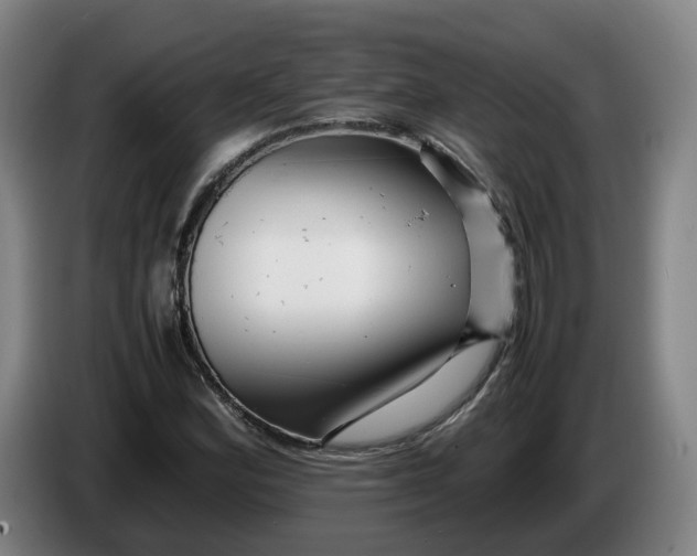 X0000086261164200704191857