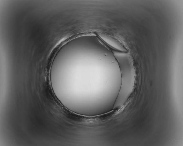 X0000086261165200704191857