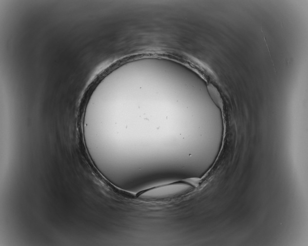 X0000086261168200704191857