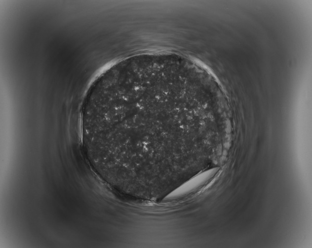 X0000086261171200704191857
