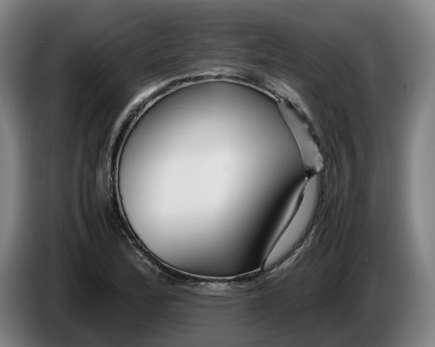 X0000086261172200704191857