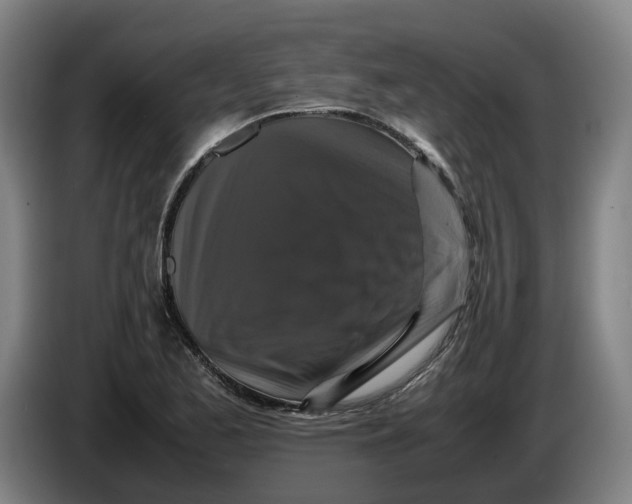 X0000086261173200704191857