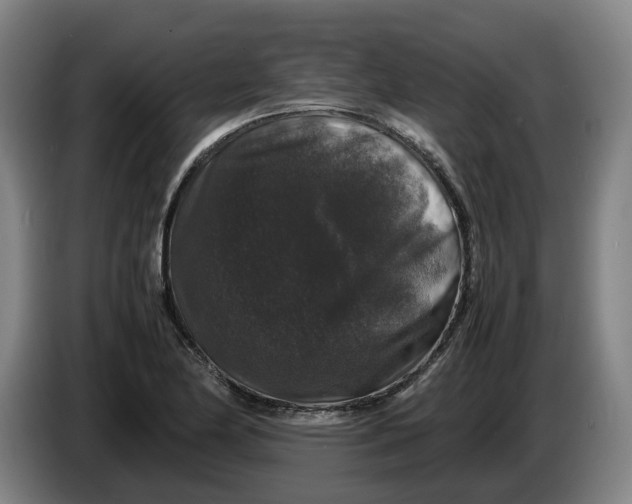 X0000086261174200704191857
