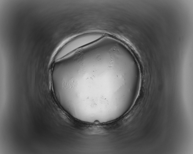 X0000086261175200704191857