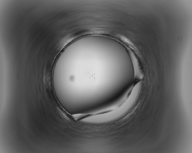 X0000086261177200704191857