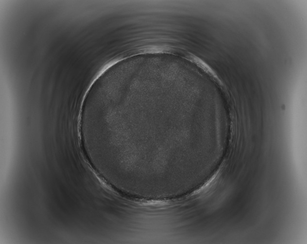 X0000086261178200704191857