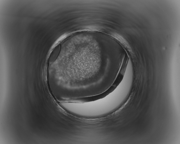 X0000086261180200704191857