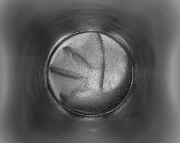 X0000086261182200704191857