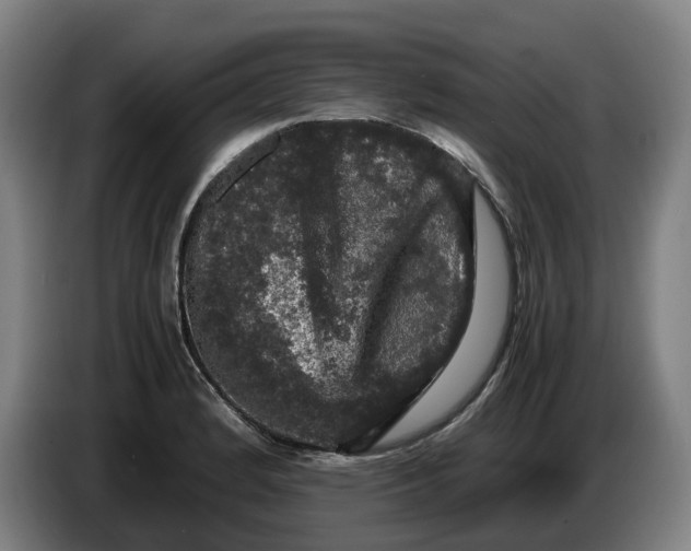 X0000086261184200704191857