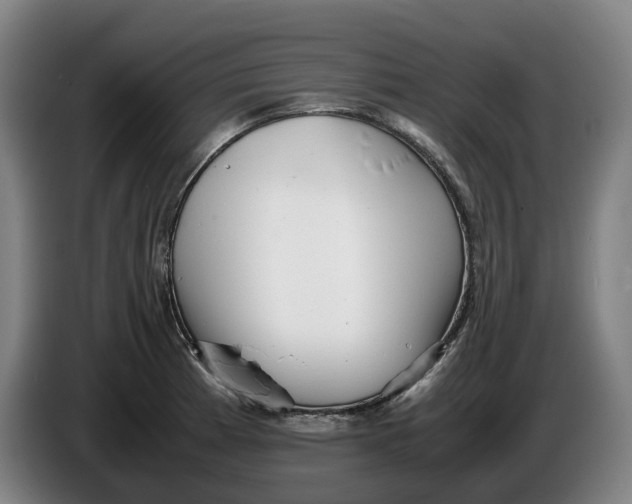 X0000086261185200704191857
