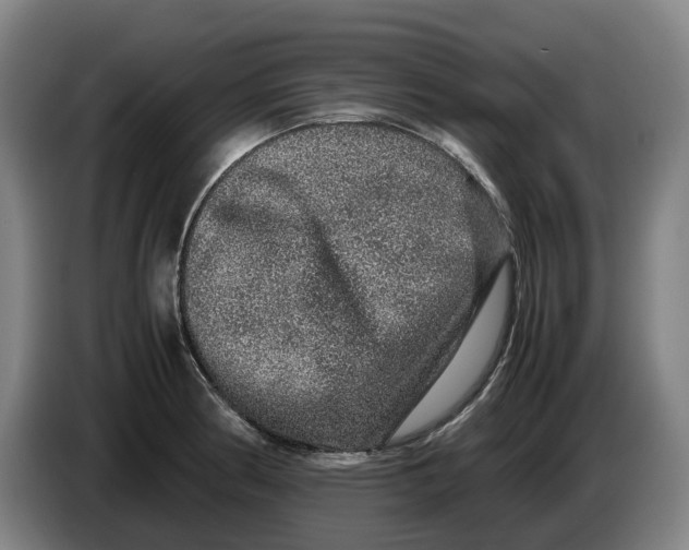 X0000086261186200704191857