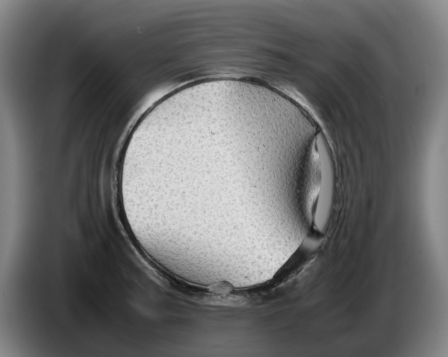 X0000086261187200704191857