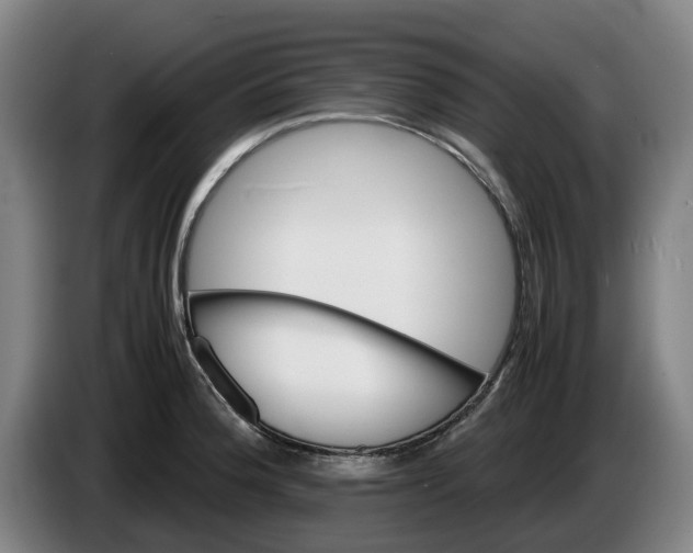 X0000086261188200704191857