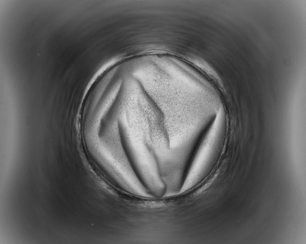 X0000086261190200704191857