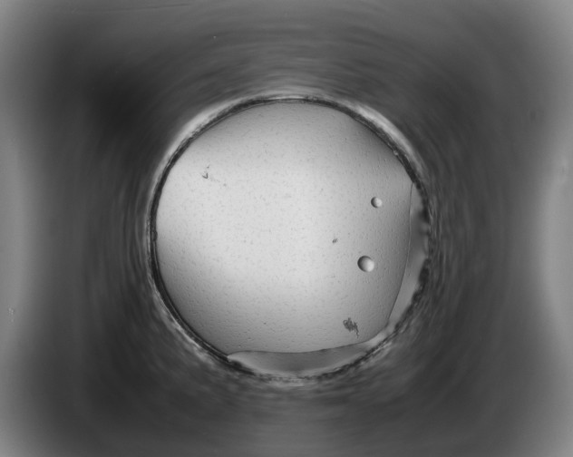 X0000086261191200704191857