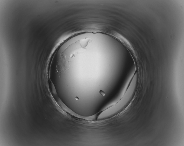 X0000086261192200704191857