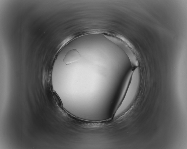 X0000086261193200704191857