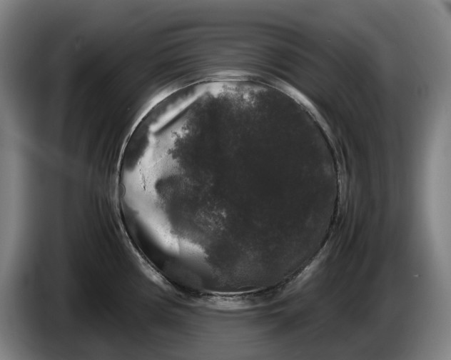 X0000086261194200704191857