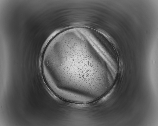X0000086261196200704191857