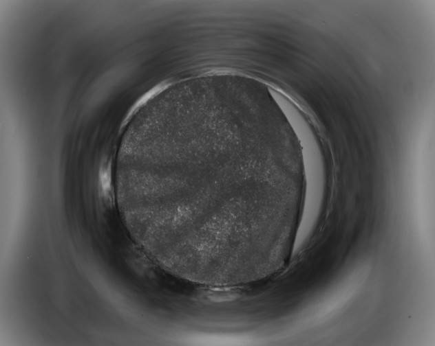X0000086261198200704191857