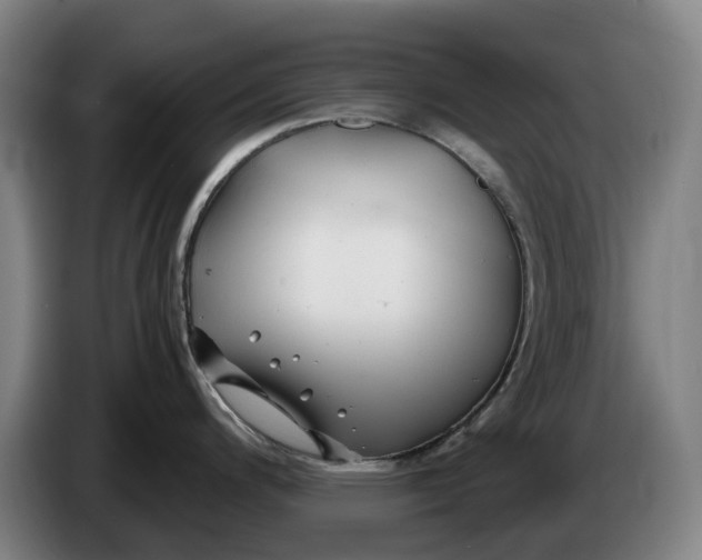 X0000086261200200704191857