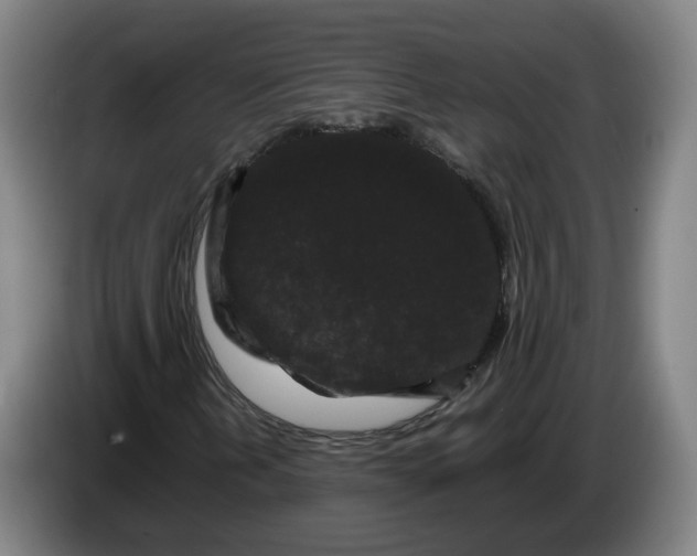 X0000086261202200704191856