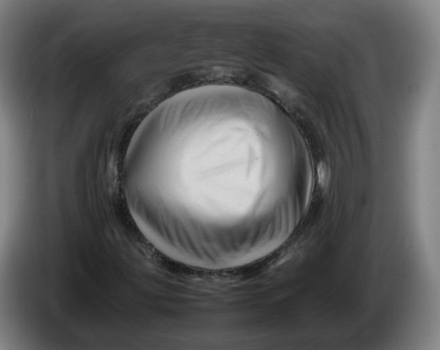X0000086261203200704191856